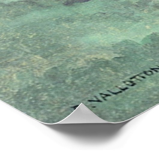 DE POND POSTER (Hoek)