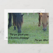 De poneysKerstkaarten en zegels van Assateague Feestdagenkaart (Voorkant / Achterkant)