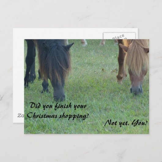 De poneysKerstkaarten en zegels van Assateague Feestdagenkaart (Voorkant / Achterkant)