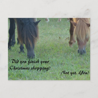 De poneysKerstkaarten en zegels van Assateague Feestdagenkaart