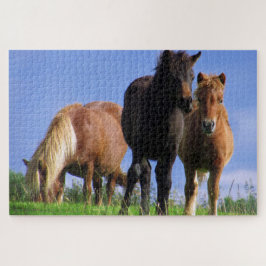 De Ponies Legpuzzel