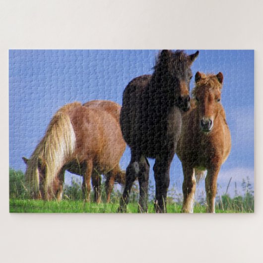 De Ponies Legpuzzel (Horizontaal)