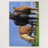 De Ponies Legpuzzel (Verticaal)