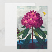 De Pontic Rhododendron, Antiek afdruk Feestdagenkaart (Voorkant / Achterkant)