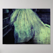 De Pony Poster (Voorkant)