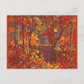 De pool briefkaart (Voorkant)