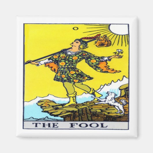 De pool magneet (Voorkant)