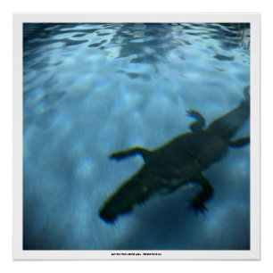 DE POOLSERIE VAN DAVID p05b- 3D Computer ART Poste Poster
