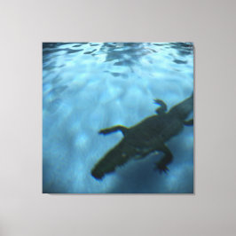 DE POOLSERIE VAN DAVID p05b Canvas