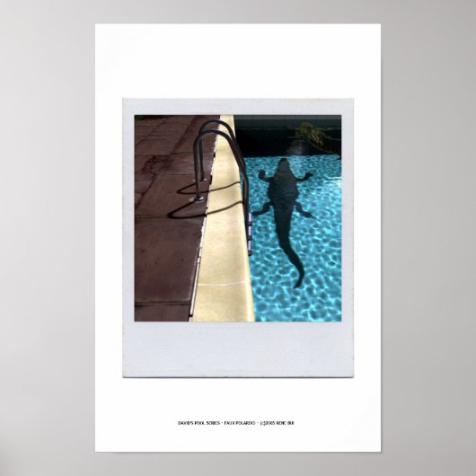 DE POOLSERIE VAN DAVID p08b Poster (Voorkant)