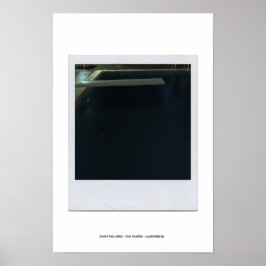 DE POOLSERIE VAN DAVID p09c-Poster Poster