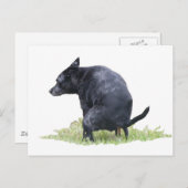 De pooping Dog onderhoudt Briefkaart (Voorkant / Achterkant)