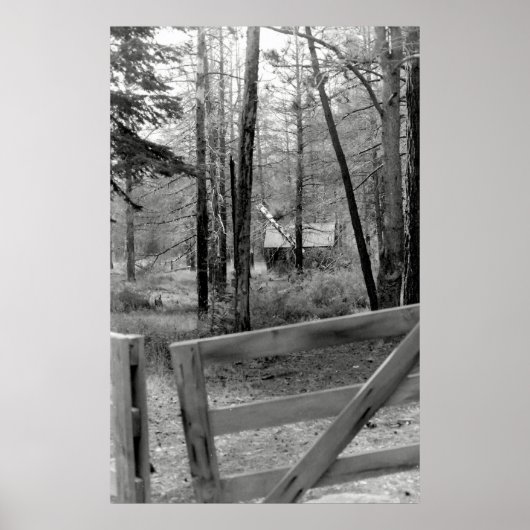 De poort poster (Voorkant)