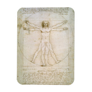 De porties van het menselijk cijfer magneet