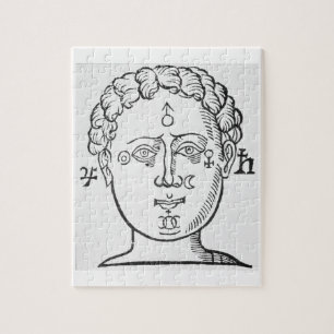 De positie van de planten in het hoofd van de mens legpuzzel
