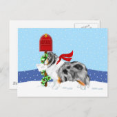 De Post Blauwe Merle van Kerstmis van Sheltie Feestdagenkaart (Voorkant / Achterkant)