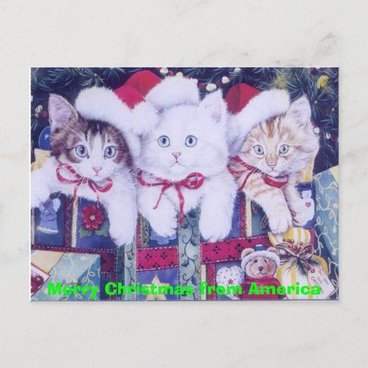 De post Katten van Kerstmis Feestdagenkaart (Voorkant)