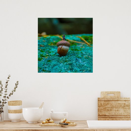 DE POSTER VAN DE EIKEL (Keuken)
