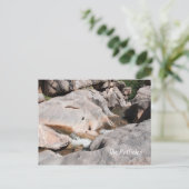 De Potholes Briefkaart (Staand voorkant)