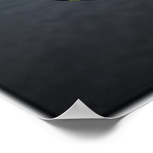 De Potters Poster (Hoek)