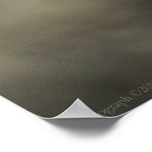 De prachtige afdruk van de artistieke poster (Hoek)