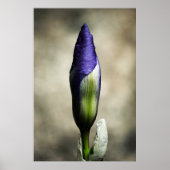 De prachtige afdruk van de artistieke poster (Voorkant)