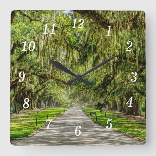 De prachtige Avenue van Oaks Wall Clock Vierkante Klok (Voorkant)