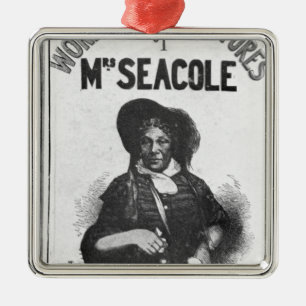 De prachtige avonturen van mevrouw Seacole' Metalen Ornament
