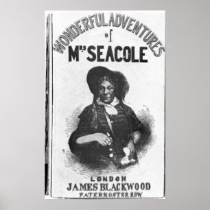 De prachtige avonturen van mevrouw Seacole' Poster