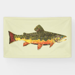 De prachtige Brook-forel Spandoek