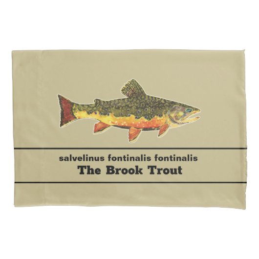 De prachtige Brook-forel voor vliegende ventilator Kussensloop (Voorkant)