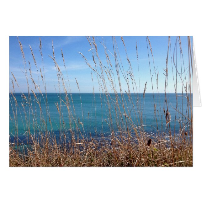 De prachtige gras en Zee (Voorkant Horizontaal)