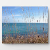 De prachtige gras en Zee Fotoplaat (Voorkant)