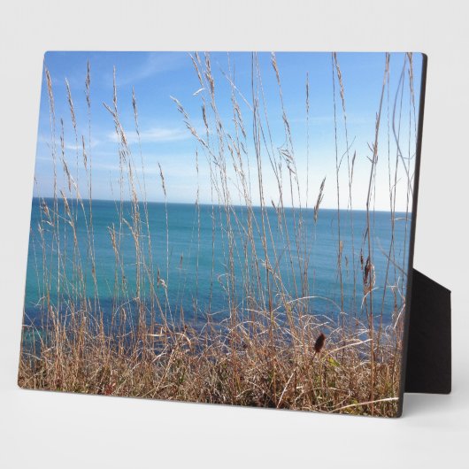 De prachtige gras en Zee Fotoplaat (Zijkant)