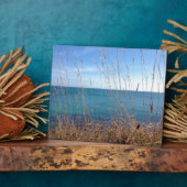 De prachtige gras en Zee Fotoplaat (Zijkant)