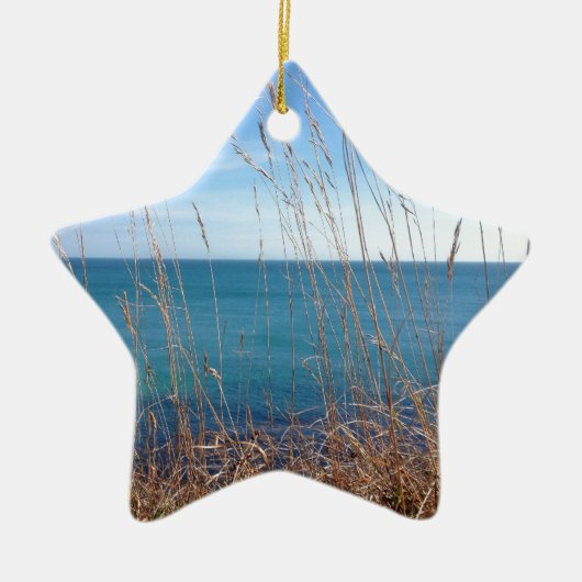 De prachtige gras en Zee Keramisch Ornament (Voorkant)