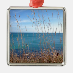 De prachtige gras en Zee Metalen Ornament