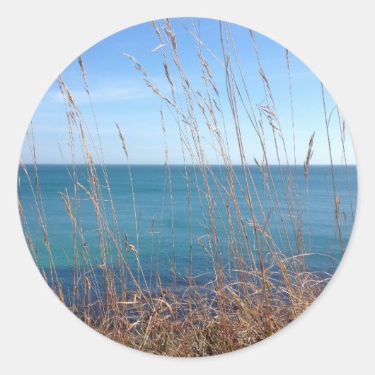De prachtige gras en Zee Ronde Sticker (Voorkant)