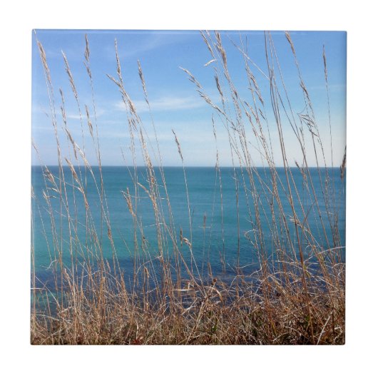 De prachtige gras en Zee Tegeltje (Voorkant)