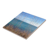 De prachtige gras en Zee Tegeltje (Zijkant)