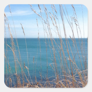 De prachtige gras en Zee Vierkante Sticker