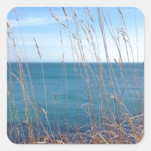 De prachtige gras en Zee Vierkante Sticker (Voorkant)