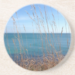 De prachtige gras en Zee Zandsteen Onderzetter