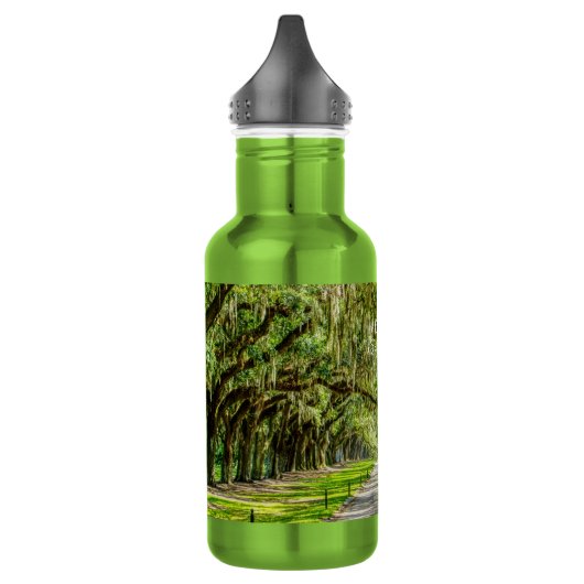 De prachtige laan van eiken waterfles (Links)