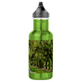 De prachtige laan van eiken waterfles waterfles  (Rechts)