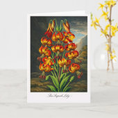 De Prachtige Lelie — Moderne Botanische Herinterpr Kaart (Gele Bloem)