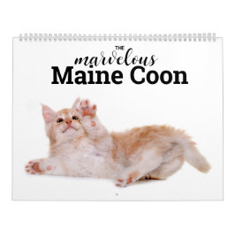 De prachtige Maine Coon Calender Kalender