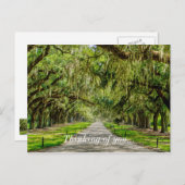 De prachtige plek van de eikels die je denken briefkaart (Voorkant / Achterkant)