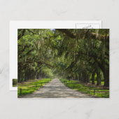 De prachtige plek van de eiken briefkaart (Voorkant / Achterkant)