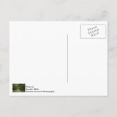 De prachtige plek van de eiken briefkaart (Achterkant)